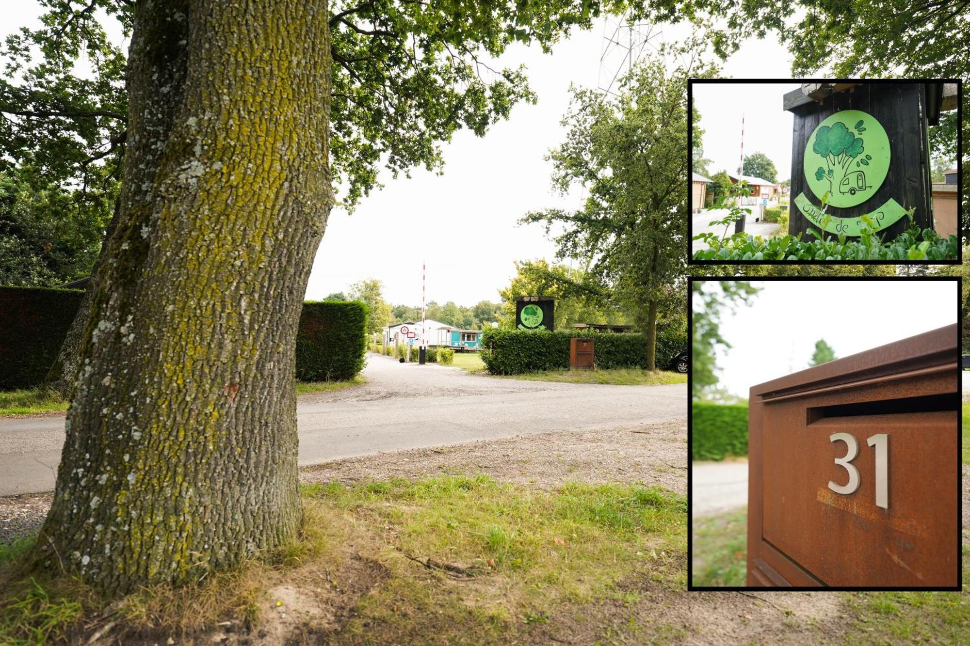 Luxe Lodge 'Bold' Nabij Bos En Veluwemeer - 4 Pers Ermelo Eksteriør bilde
